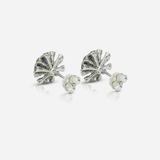 Pair of silver stud earrings by Silver World - best silver shops in Delhi.