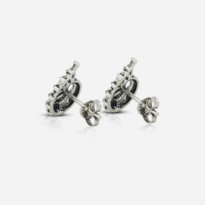 Pair of silver earrings on a white background